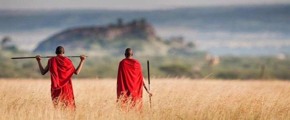 Safari Travel