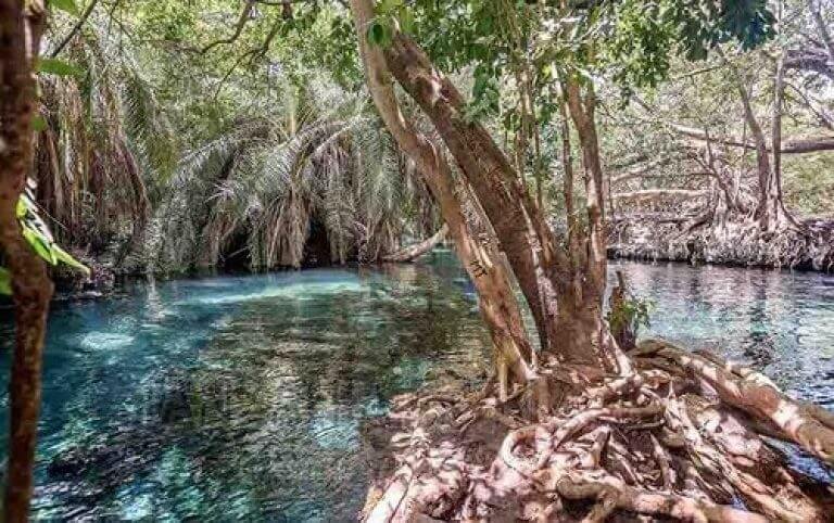 Kikuletwa Hot Springs