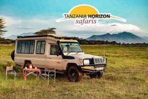 What are the vehicles used for Daytrips?