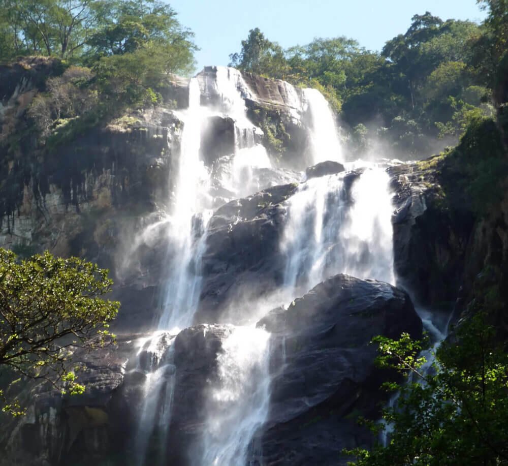 Udzungwa Mountains National Park