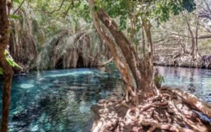 Tanzania-Horizon-Safaris-Hot-Springs