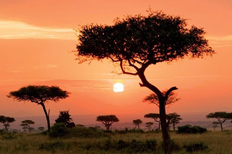 Lake Manyara