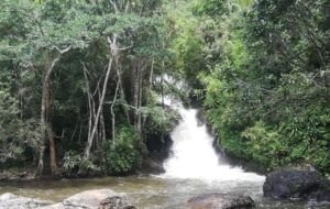 Usambara Mountains10 Kwesimu Waterfalls