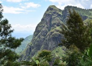 Hike along the Usambara Mountain ridge