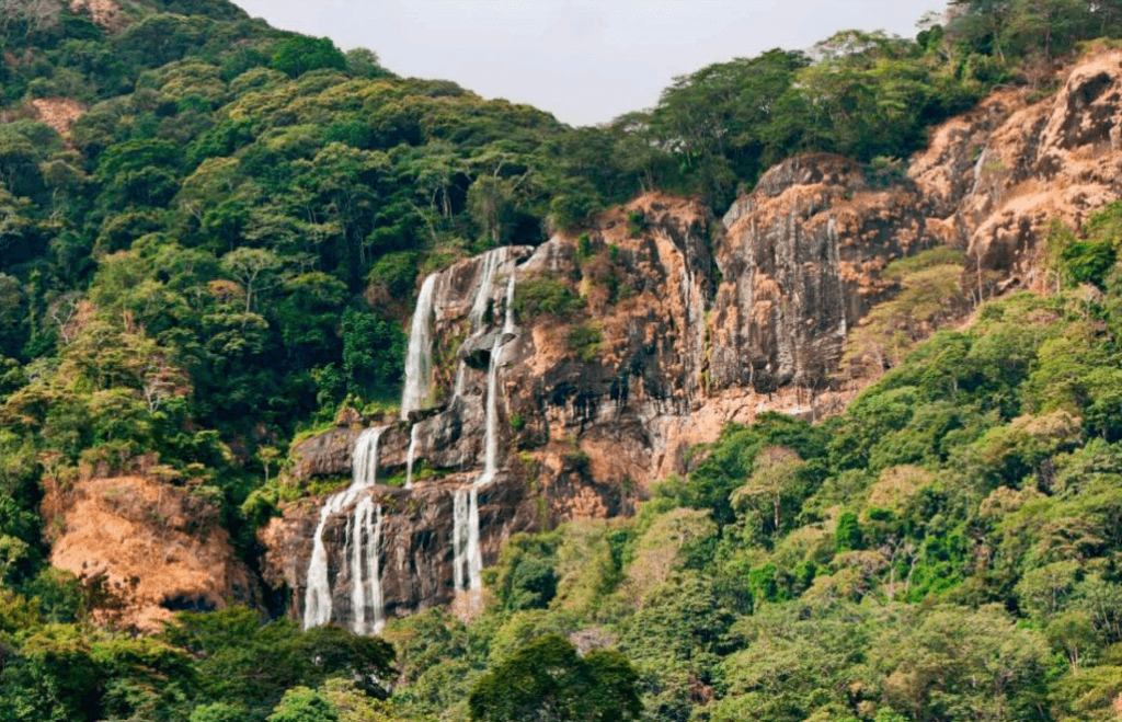 4 Days Udzungwa Mountains