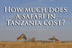 What does a safari in Tanzania cost?