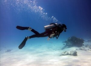 Zanzibar Diving Special: Mnemba Island & Reef Best diving spots in Zanzibar