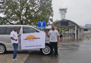 How is transportation organized in Zanzibar?