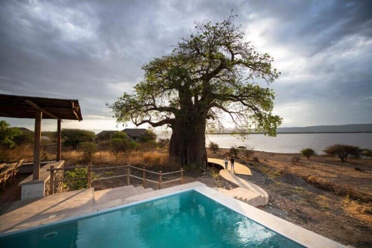 Manyara's Secret