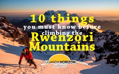 10 Things You Must Know Before Climbing the Rwenzori Mountains with Uganda Horizon Safaris