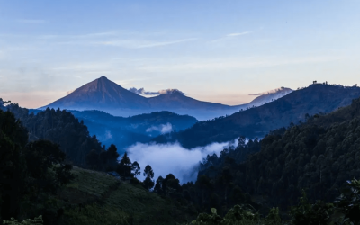 Bwindi National Park
