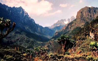 Day hikes at the Rwenzori Mountains with Uganda Horizon Safaris