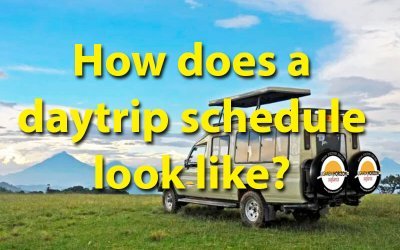 How does a daytrip schedule in Uganda look like