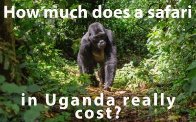 How much does a safari in Uganda really cost