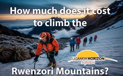 How much does it cost to climb the Rwenzori Mountains1