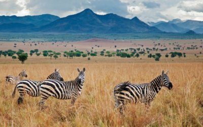 Kidepo National Park4