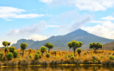 Mount Elgon8