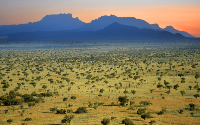 Pian Upe Wildlife Reserve1
