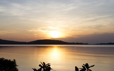 Ssese Islands3