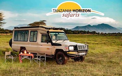 What are the vehicles used for Daytrips?