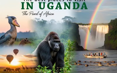 The best places to visit in Uganda